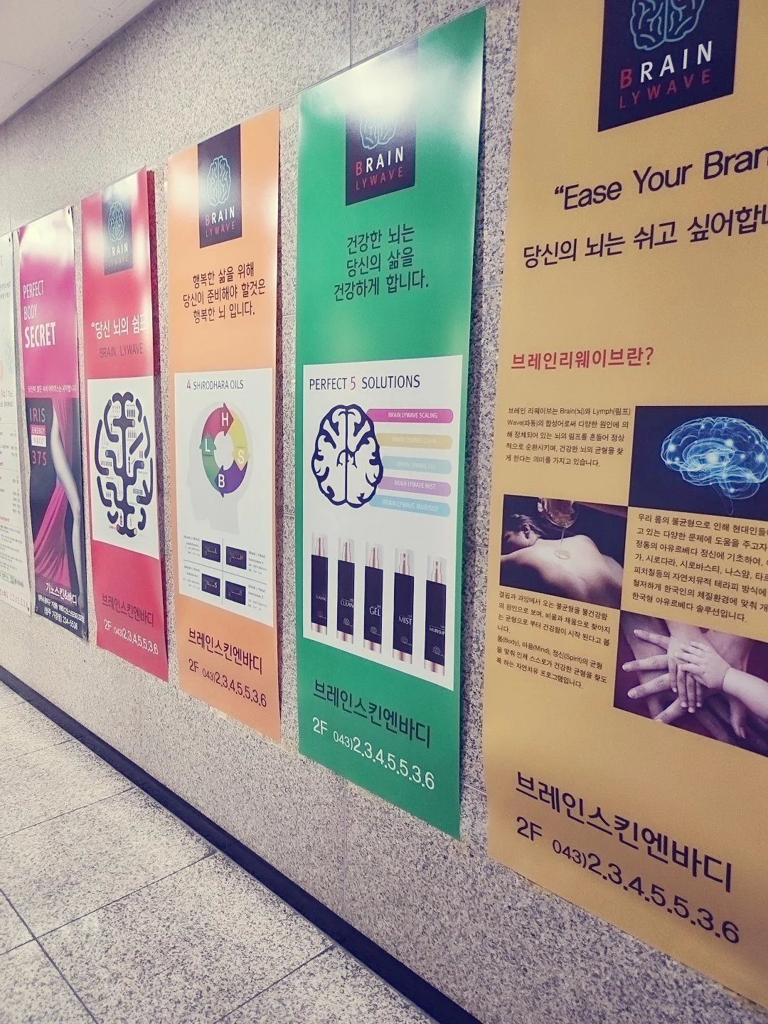 기노스킨앤바디 브레인리웨이브 안내 배너
